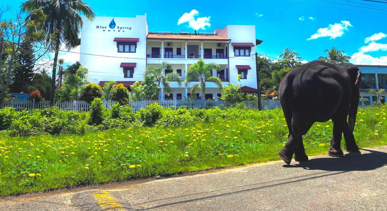 Blue Spring Hotel Wadduwa Buitenkant foto